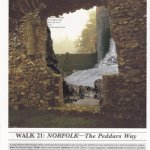 Walk 21