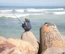 Fisherman, Casablanca