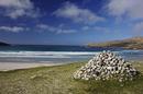 Vatersay
