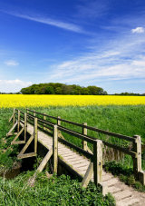 Footbridge