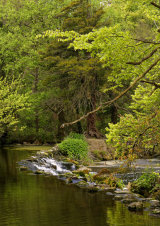Tranquility