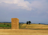 Bale Tower