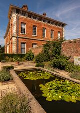 Lily Pond