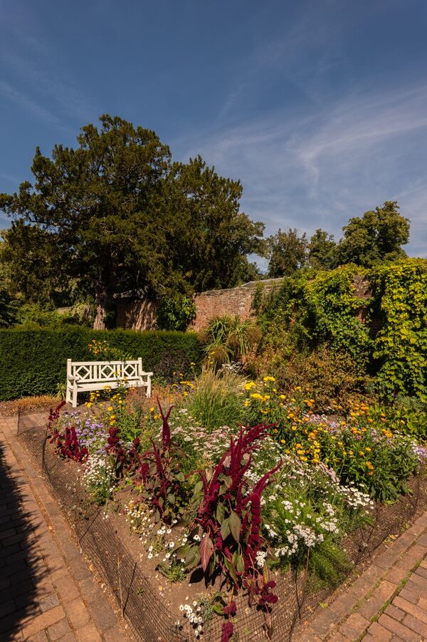 Tranquil Corner