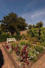 Tranquil Corner