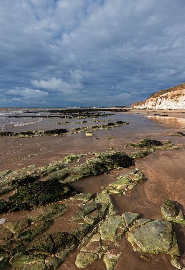 Rocks