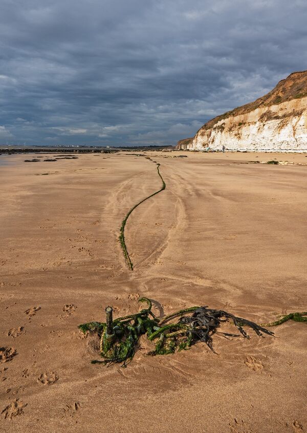 Anchor