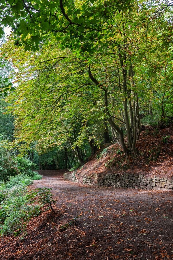 Pathway