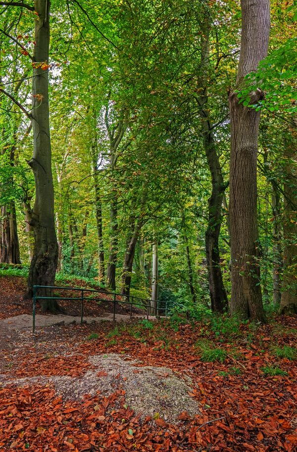 Early Autumn