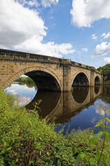The Bridge