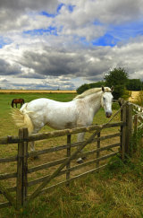 Open the Gate
