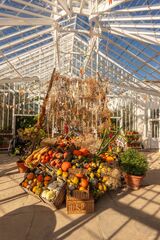 Autumn Display