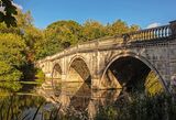 The Bridge