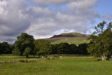 Marrick Moor