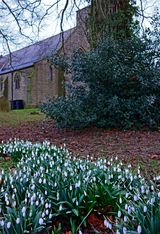 Spring is on the Way