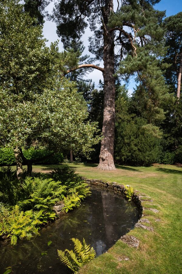 Pond
