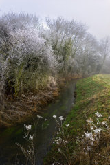 Frosty Morning