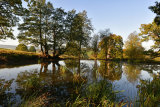 Across the Pond