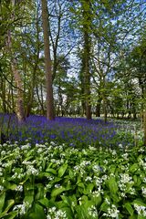 Swathe of Blue