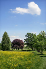 Knavesmire
