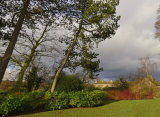 Mixed Weather