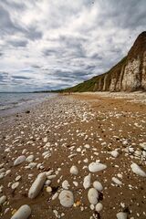 The Beach