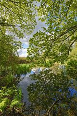 Still Waters