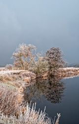 Reflection