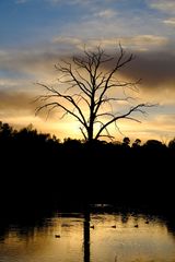 Sundown