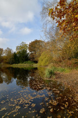 Still Waters