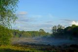 Low Mist