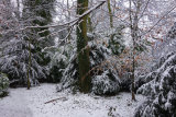 Winter Wonderland