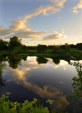 Reflections