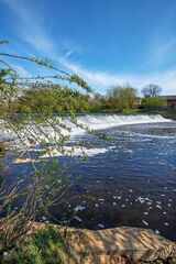 Weir