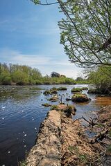 Down River