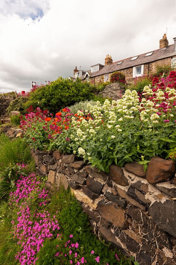 Rockery