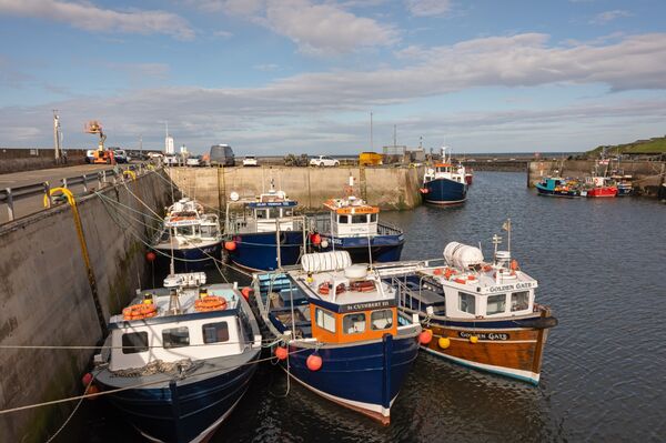 Harbour 1