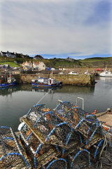 Lobster Pots