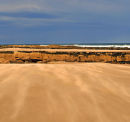 Driven Sand