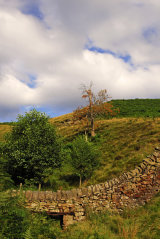 Drystone