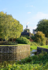 Eggborough through the trees