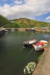 Burnmouth Harbour 1