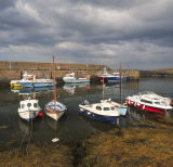 St Abbs Harbour 1