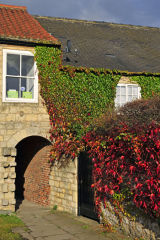 Autumn Colour