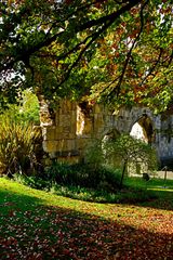 Museum Gardens