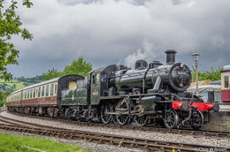 46521 visits Totnes