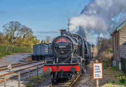 "The Pines Express"?