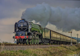 Tornado in West Somerset