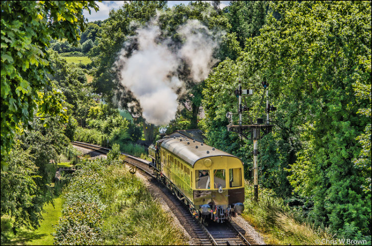 6412 and W233 Buckfastleigh 06.07.16