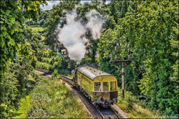 6412 and W233 Buckfastleigh 06.07.16